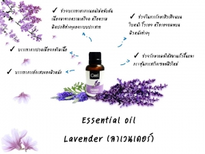 Essential oil Lavender (ลาเวนเดอร์)