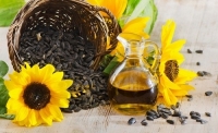 น้ำมันเมล็ดดอกทานตะวันสกัดเย็น 100% (sunflower oil 100%)