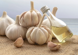 สารสกัดกระเทียม (Garlic Extract)